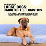 Moving with Large Dogs: Handling the Logistics