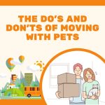 The Do’s and Don’ts of Moving with Pets