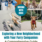 Exploring a New Neighborhood with Your Furry Companion: A Comprehensive Guide to Socializing Your Dog